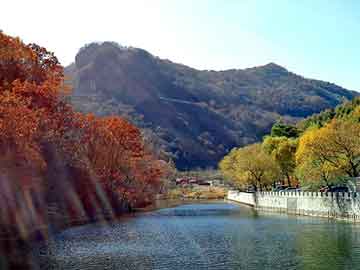 新澳天天开奖资料大全旅游团，简易小型标牌腐蚀机